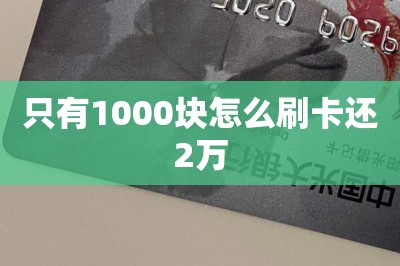 只有1000块怎么刷卡还2万？推荐两款可以刷卡还款的还款软件-第1张图片