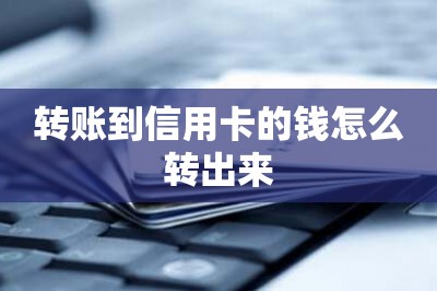 转账到信用卡的钱怎么转出来【使用手机刷卡软件刷卡=转账出来】-第1张图片