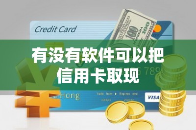 有没有软件可以把信用卡取现：本文分享两款这样的软件-第1张图片