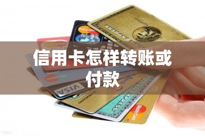 信用卡怎样转账或付款？用软件刷出来=转账-第1张图片