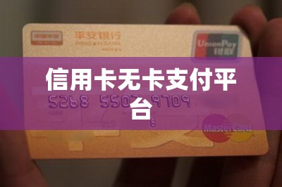 信用卡无卡支付平台：不插卡不会卡只需卡号就能刷卡-第1张图片