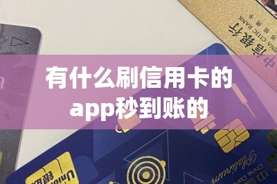 有什么刷信用卡的app秒到账的？本文推荐五款