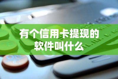 有个信用卡提现的软件叫什么？这五款都能提现