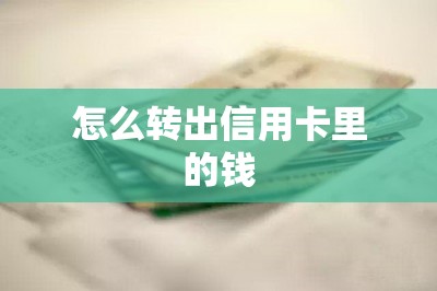 怎么转出信用卡里的钱？干货篇！教大家用app转出钱