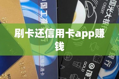 刷卡还信用卡app赚钱-第7张图片