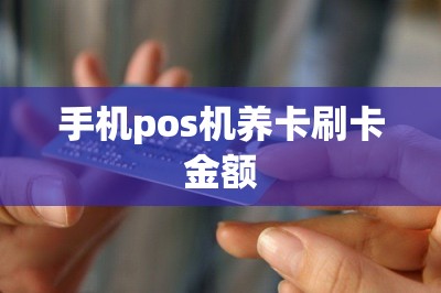 手机pos机养卡刷卡金额