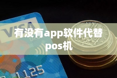 有没有app软件代替pos机