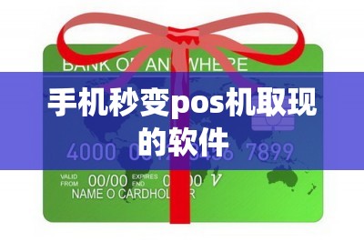 手机秒变pos机取现的软件