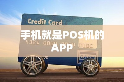 手机就是POS机的APP