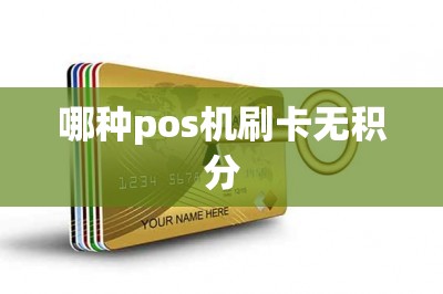 哪种pos机刷卡无积分