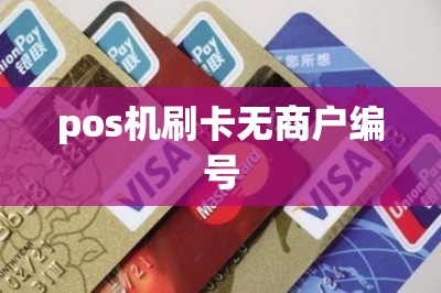 pos机刷卡无商户编号