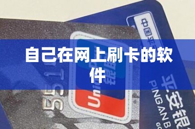 自己在网上刷卡的软件