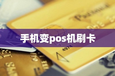 手机变pos机刷卡
