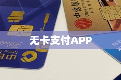 无卡支付APP