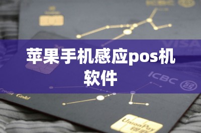 苹果手机感应pos机软件