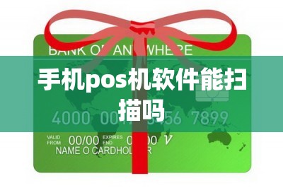 手机pos机软件能扫描吗