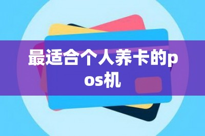最适合个人养卡的pos机