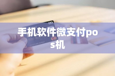 手机软件微支付pos机