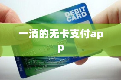 一清的无卡支付app