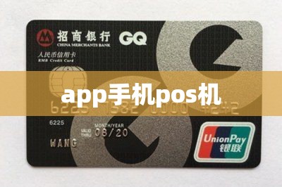 app手机pos机