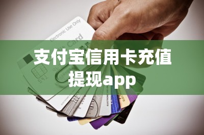 支付宝信用卡充值提现app