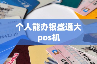 个人能办银盛通大pos机