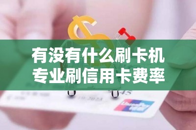 有没有什么刷卡机专业刷信用卡费率低的